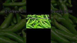 Green Chilies' | Kitchen Tips |Useful kitchen  Tips | Bs Lakshmi's Simple Recipes