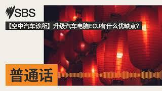 【空中汽车诊所】升级汽车电脑ECU有什么优缺点？ | SBS Mandarin - SBS 普通话电台