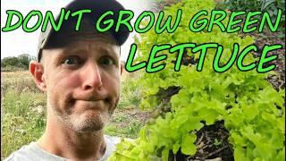 Why I'm NO LONGER Growing Green Lettuce on the Farm | Farm Tour