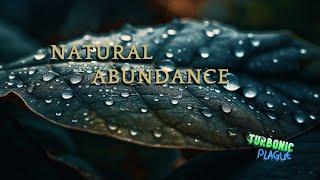 Music | Natural Abundance | Rain Dance