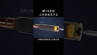 AR 15步枪的工作原理是什么？#涨知识  #科普一下 #科普知识 #有趣冷知识 #故宫 #科普 #科普知识 #科普频道  #dou出新知