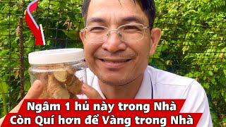 Mỗi Nhà nên Ngâm 1 Hủ này nhé. PHAN HẢI Channel