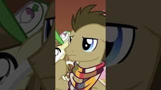 A Wedding to Remember  My Little Pony: Friendship is Magic #shorts #mlp #cartoon #pony