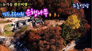 [드론영상] 운곡서원 은행나무잎 단풍ㅣ유연정ㅣ[Drone Video] Woongok Seowon Ginkgo Tree,