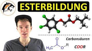 ESTERBILDUNG – (Reaktionsmechanismus + Saure Esterhydrolyse) | Chemie Tutorial