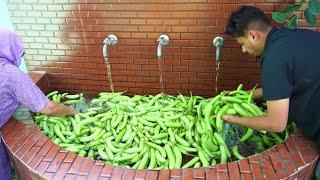 Green Eggplant Cooking - Indian spicy Eggplant