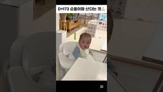 (생후 173일차) 순둥이와 산다는 것#육아 #순둥이 #쿠킹클래스 #일상