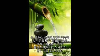 노년의 지혜