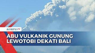 Gunung Lewotobi Masih Erupsi, Abu Vulkanik Dekati Bali Hingga 5 Bandara di NTT Ditutup