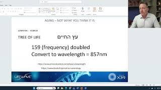 Part 2 - David Schmidt explained Lifewave from Bible code