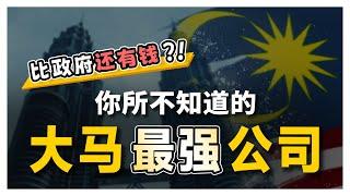 马来西亚最富的公司不是 Maybank! 而是 XXX! 一个富可敌国的公司！| 【乐学成长空间】