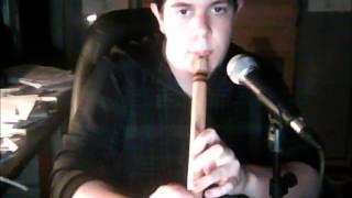 Aidu (from Eluveitie) flute cover