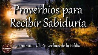 Proverbios para recibir sabiduría de parte de Dios | Biblia hablada | Bible audio