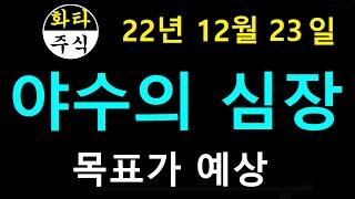 12월23일 야수의심장 화타TV 주식급등. 야수의심장, 삼아알미늄, 디엔에이링크, 디지틀조선, 삼화왕관, 젠큐릭스, 신라에스지, 아이티센