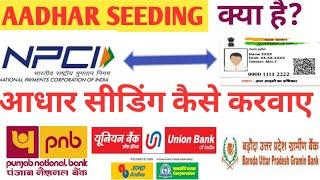 Aadhar seeding kaise kare/आधार सीडिंग क्या होता है l आधार सीडिंग कैसे करवाए