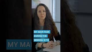  What do fundamental rights monitors do?