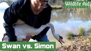 Angry Swan challenges Simon Cowell to ‘Round Two’!