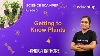 Getting to Know Plants | Class 6 Science Scamper | Chapter 7 | CBSE/NCERT @Educatup​