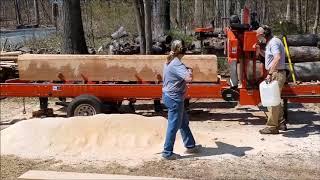 Big White Oak For The Wood Mizer LT35HD