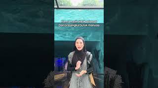 Berbenah diri yuk  #hijab #ootdmuslimah  #hijabstyle