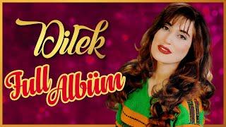 Dilek- Sende Gittin ya  Türküler  T.H.M Full Albüm 90'ler Orijinal Master Kayıt