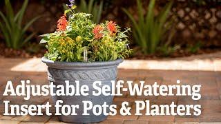 A Closer Look at the Adjustable Self-Watering Insert for Pots and Planters | Gardener's Supply