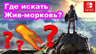 Где искать Жив морковь? The Legend of Zelda Breath of the Wild. Farm Endura Carrots