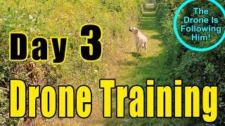 Dog Drone Training: Day 3 - Simulating a Hike Along a Trail