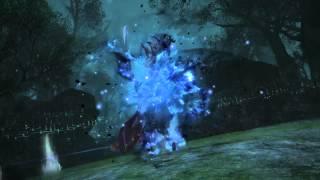 Final Fantasy XIV: A Realm Reborn - Fear and Odin in the Shroud