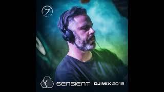 Sensient Best of 2018 Zenon DJ Mix