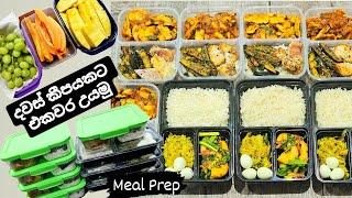 Meal Prep කරද්දි දැනගත යුතු ප්‍රධාන කරුණු ටිකක් එක්ක,කෑම ජාති තුන හතරකුත් හදන විදිහ.Meal Prep Epi-02