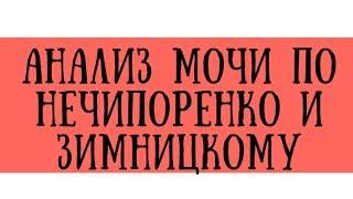 Анализ мочи по Нечипоренко и Зимницкому в норме и при патологии - meduniver.com