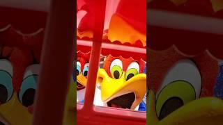 Woody Woodpecker! @universalstudioshollywood  #universalstudios