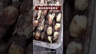 專供湖北本地的水果蓮藕上市“能生吃但是不能煲湯”