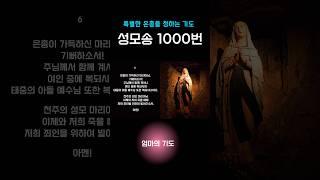 성모송 1000번(넘버링)ㅣ특별한 은총을 청하는 기도ㅣ간절한 염원 #기도 #치유 #위로 #마음의평화 #정화의기도 #셀리의치유의숲
