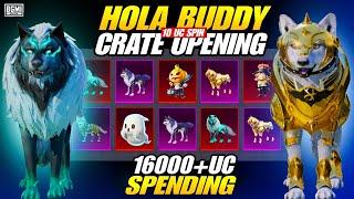 Bgmi New Crate Opening| Hola Buddy Crate Opening Bgmi | Wolf Pet Companion Crate Opening New Update