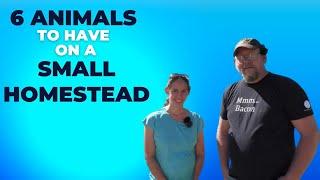 6 Animals to have on a Small Homestead