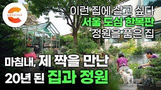 마침내, 20년 된 오래된 집이 취향 좋은 주인을 만났을 때 서울 종로구 도심 한복판, 보물같은 집을 알아본 부부의 집과 비밀 정원 (ft.홈가드닝)ㅣ정원 디자이너ㅣ#건축탐구집