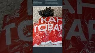 ИНОСТРАНЕЦ ДЕЛАЛ ЗАКЛАДКИ В БЕЛАРУСИ #гомель #news #беларусь