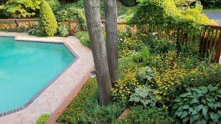 Backyard Pool Garden Tour | Greenbee Explorer