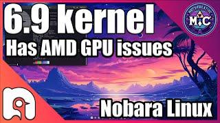 6.9 Kernel Has an AMD GPU Bug with Adapters