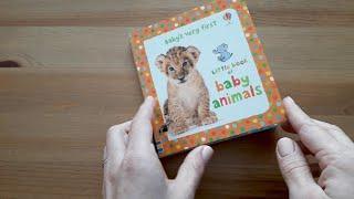 Baby's very first little book of baby animals - Usborne