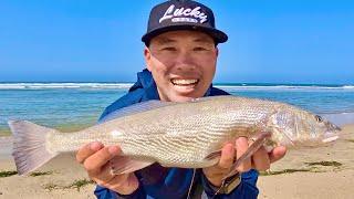 Reading the Beach at Low Tide and FINDING Fish [ SoCal Surf Fishing]