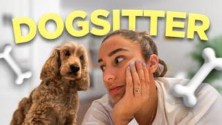 JE SUIS DOG-SITTER PENDANT 24H (intense)