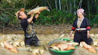 Dwarf Family Harvesting A Lot Of Fish At Mud Pond Goes to market sell -  Dwarf free bushcraft