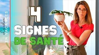 Comment savoir si on est en BONNE SANTÉ SANS BILAN SANGUIN ?4 SIGNES PHYSIQUES qui ne trompent pas.