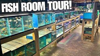 MAN ADDICTED TO FISH TURNS BASEMENT INTO FISH ROOM