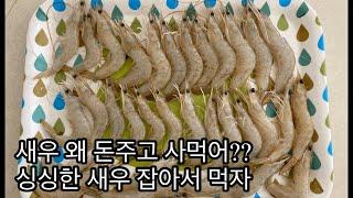 prawns catch and cook 새우 투망으로 직접잡아 먹자 새우 캐치앤쿡 ep3. Feat. 귀여운 호주어린ㅇㅣ