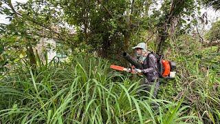 Garden Care Late Grandmother Girl want Clean Transform cut overgrown grass Growing vegetables ASMR