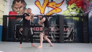 Legal Techniques | Ultra MMA